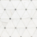 Bianco Dolomite Pinwheel Polished