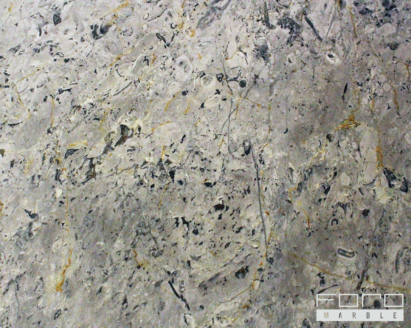 STONE SAMPLES3.jpg