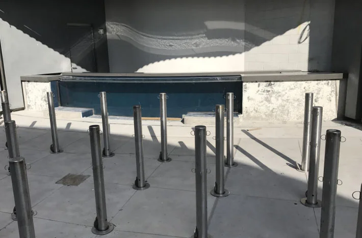 FORO aquarium 2.jpg